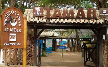 Projeto Tamar