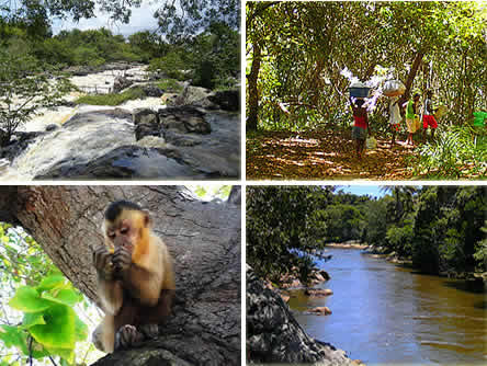 Sapiranga-Collage
